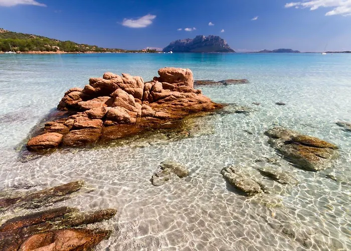 Daire L'ea Di Lavru - Mono-bilo-trilocali Porto San Paolo (Sardinia)
