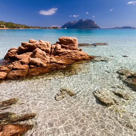 アパート L'ea Di Lavru - Mono-bilo-trilocali ポルト・サン・パーオロ