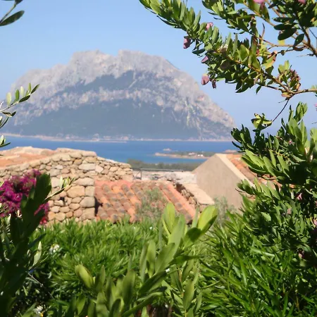 L'ea Di Lavru - Mono-bilo-trilocali ポルト・サン・パーオロ