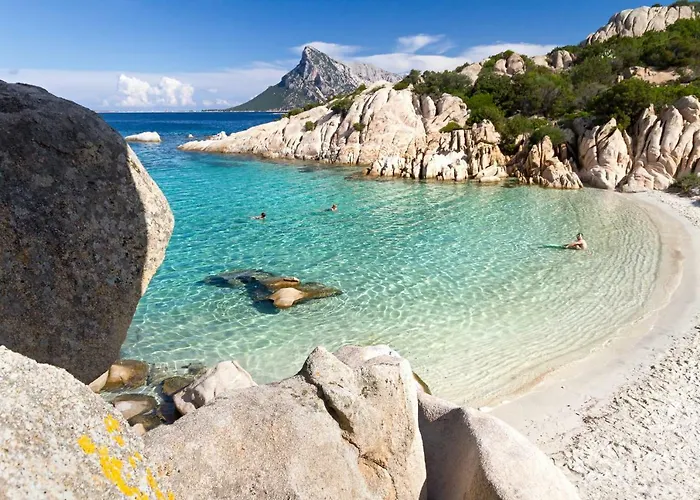 L'ea Di Lavru - Mono-bilo-trilocali * Porto San Paolo (Sardinia)